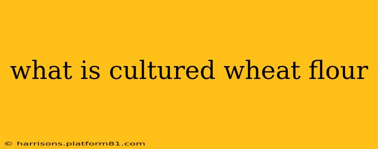 what is cultured wheat flour