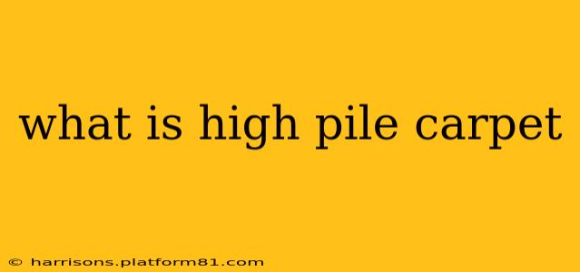 what is high pile carpet