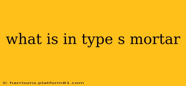 what is in type s mortar