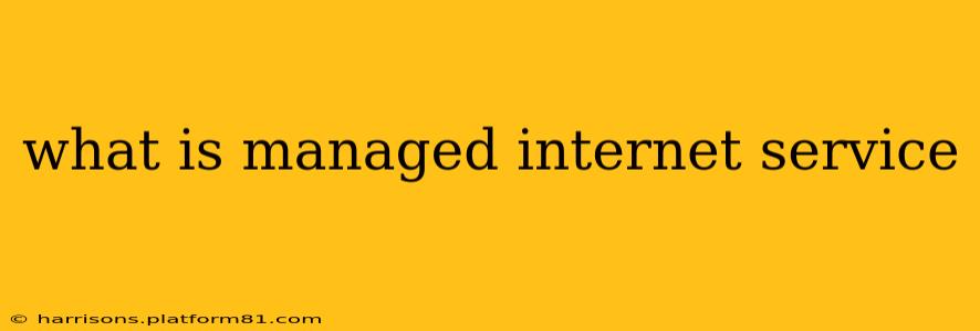what is managed internet service