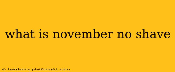 what is november no shave