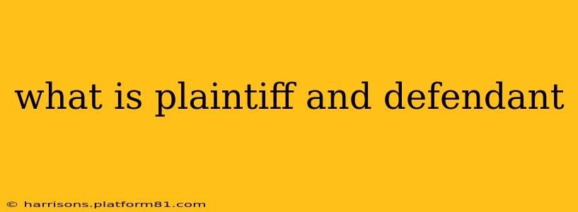 what is plaintiff and defendant