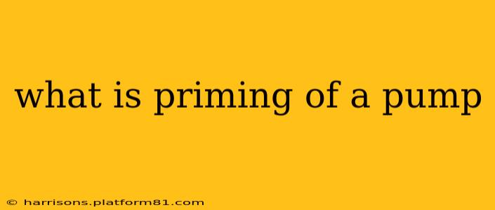 what is priming of a pump