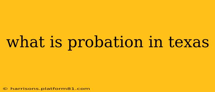 what is probation in texas