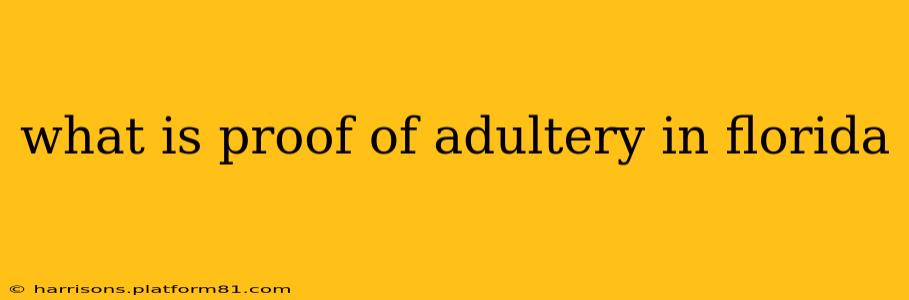 what is proof of adultery in florida