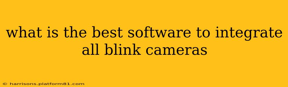 what is the best software to integrate all blink cameras