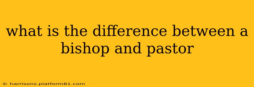 what is the difference between a bishop and pastor