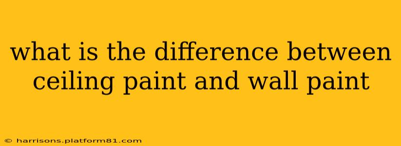 what is the difference between ceiling paint and wall paint