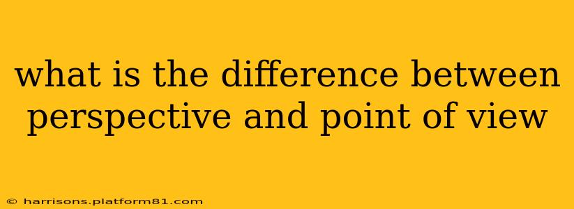 what is the difference between perspective and point of view