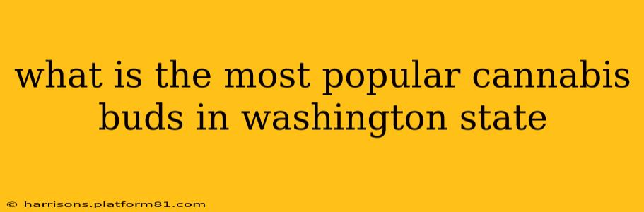 what is the most popular cannabis buds in washington state