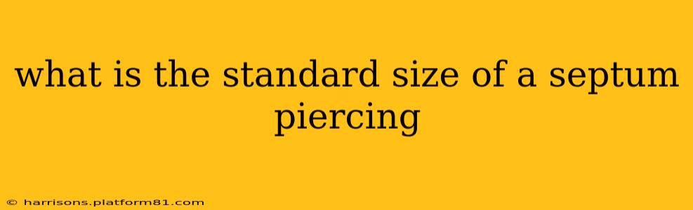 what is the standard size of a septum piercing