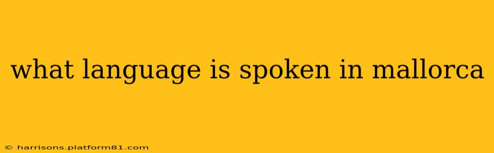 what language is spoken in mallorca