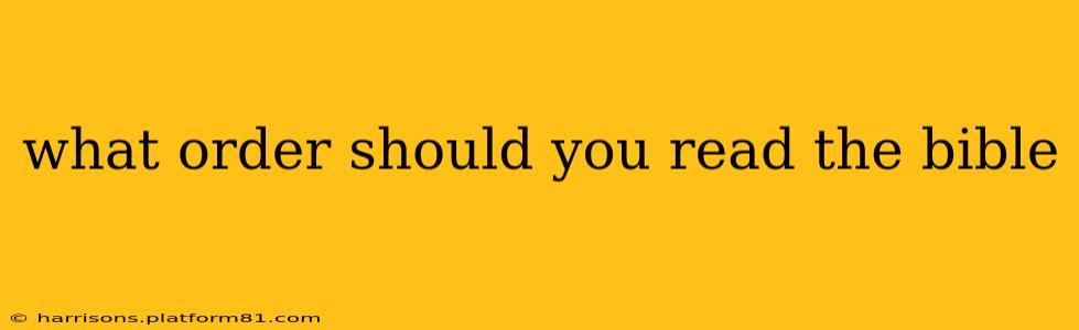 what order should you read the bible