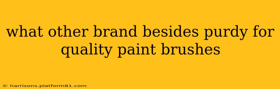 what other brand besides purdy for quality paint brushes