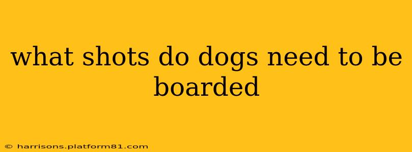 what shots do dogs need to be boarded