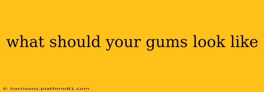 what should your gums look like