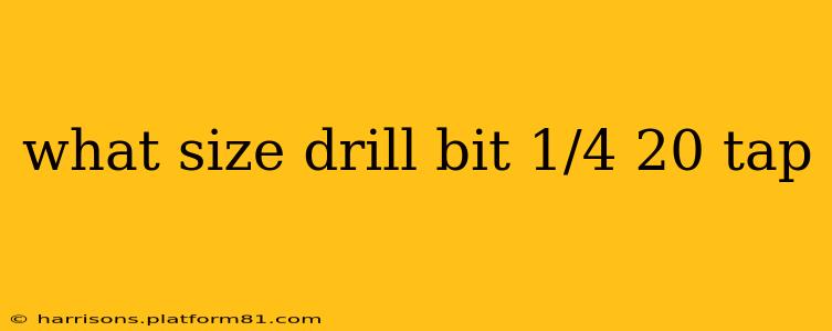 what size drill bit 1/4 20 tap