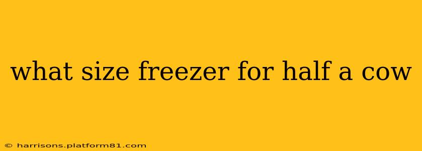 what size freezer for half a cow