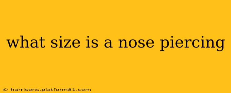 what size is a nose piercing