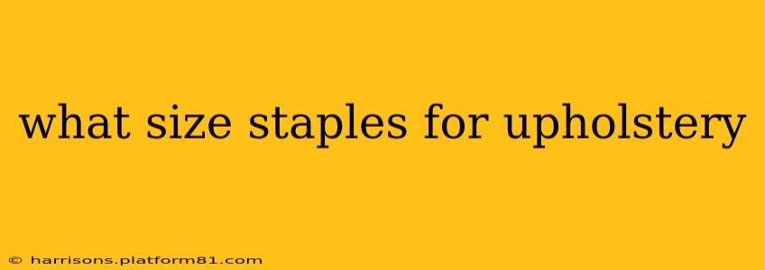 what size staples for upholstery