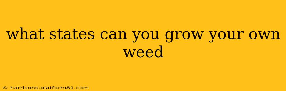 what states can you grow your own weed