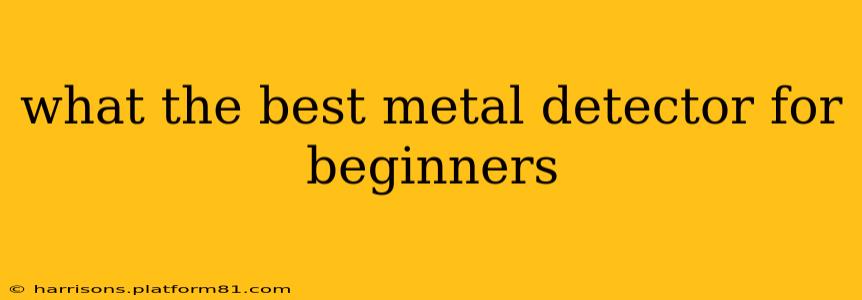 what the best metal detector for beginners