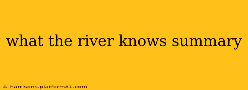 what the river knows summary