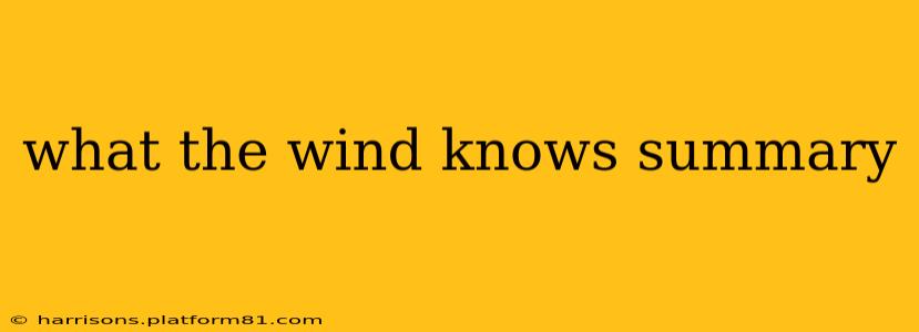 what the wind knows summary