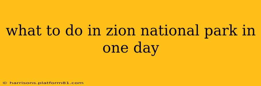 what to do in zion national park in one day