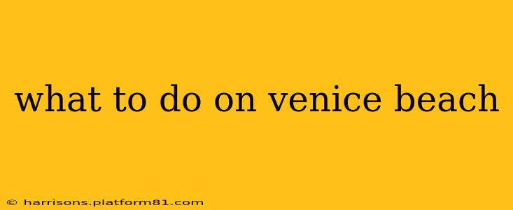 what to do on venice beach