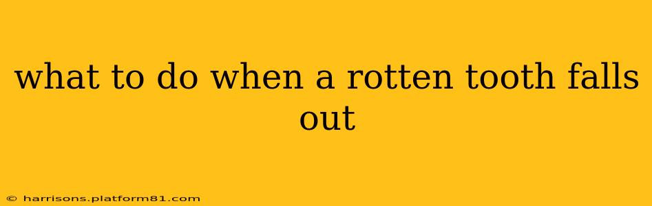 what to do when a rotten tooth falls out