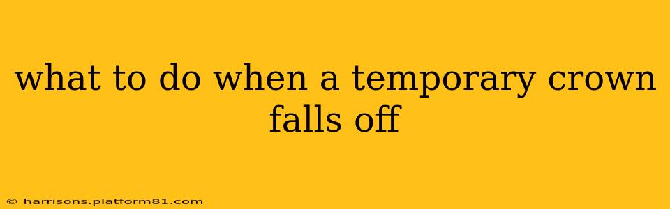 what to do when a temporary crown falls off