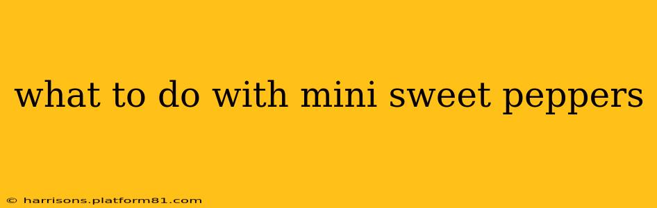 what to do with mini sweet peppers