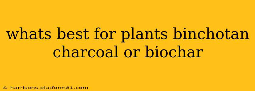 whats best for plants binchotan charcoal or biochar