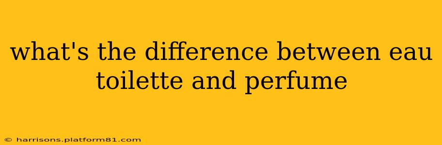 what's the difference between eau toilette and perfume
