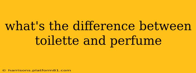 what's the difference between toilette and perfume