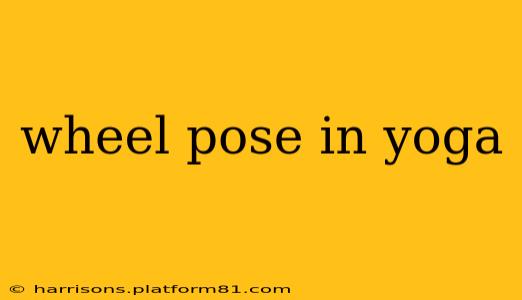 wheel pose in yoga