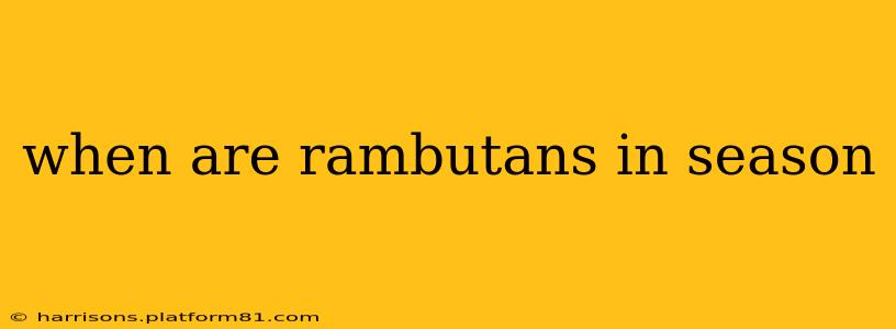 when are rambutans in season