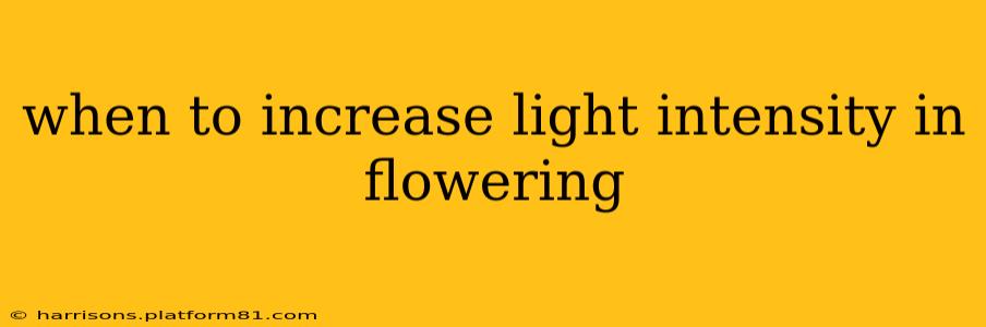 when to increase light intensity in flowering