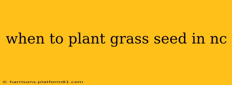 when to plant grass seed in nc