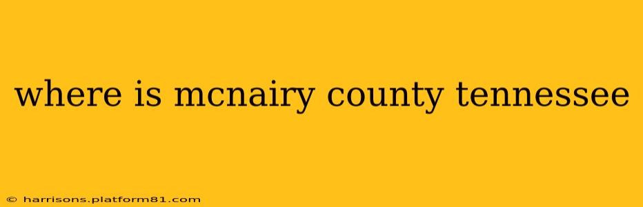 where is mcnairy county tennessee