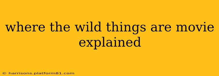 where the wild things are movie explained