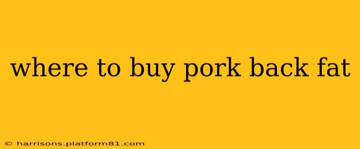 where to buy pork back fat