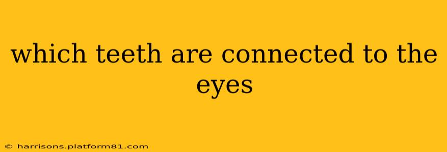 which teeth are connected to the eyes