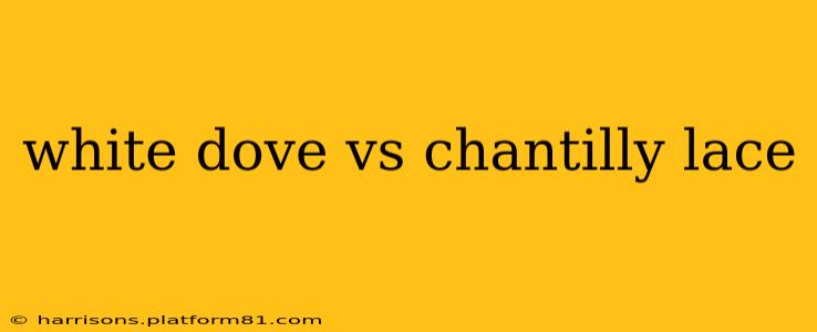 white dove vs chantilly lace