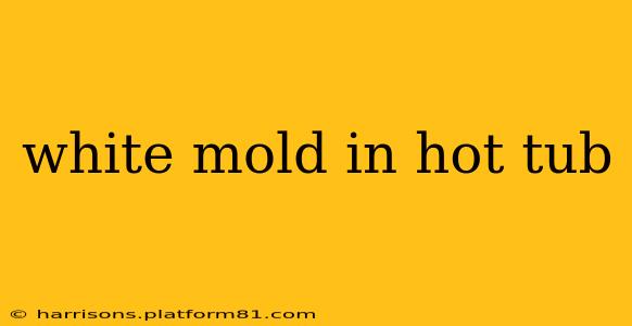 white mold in hot tub