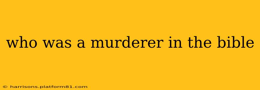 who was a murderer in the bible