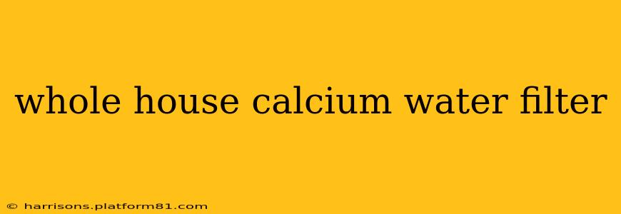 whole house calcium water filter