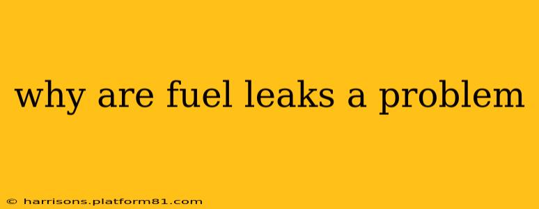 why are fuel leaks a problem