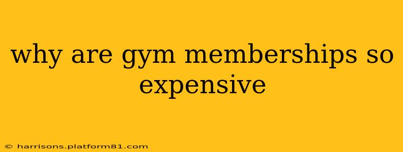 why are gym memberships so expensive